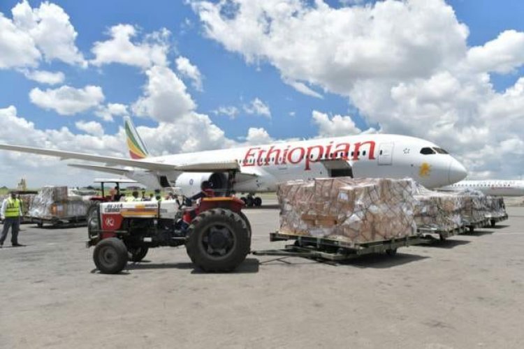 PLAN TO PRIVATIZED ETHIOPIAN AIRLINES SUSPENDED