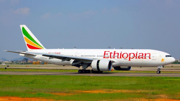 PLAN TO PRIVATIZED ETHIOPIAN AIRLINES SUSPENDED